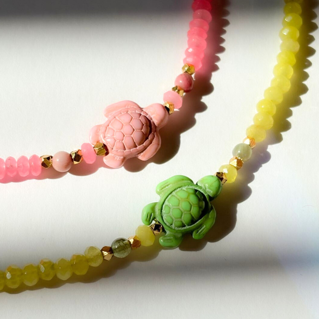 Colección Tótem Tortuga
